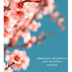 Belfiore EDP 100ml