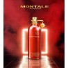 Oud Tobacco Edp 100ml