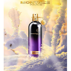 Dark Vanilla Edp 100ml