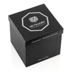 Carparfum Diffusore Auto - Nichel