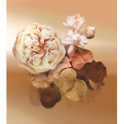 Patchoulissime EDP 100 ml