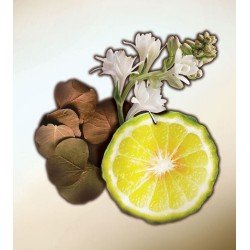 The Beautiful Ones EDP 100 ml