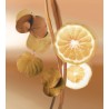 Turn & Stare EDP 100 ml