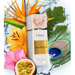 Chantilly Edp 100ml