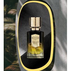 Chandigarh Express 100ml