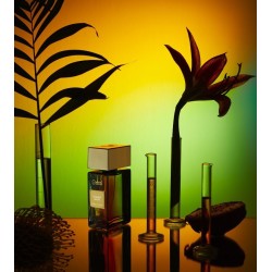 Mango Aoud Extrait 100ml