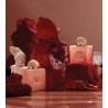 Guidance  46 Extrait 100ml