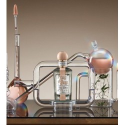 A Kiss of Bliss Edp 100 ml