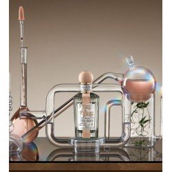 A Kiss of Bliss Edp 100 ml