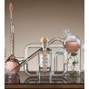 A Kiss of Bliss Edp 100 ml