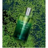 Ex Vetiver Edp 100ml