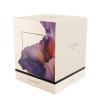 Secret Desire Iris Extrait de Parfum 50ml