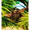 Tulum Junglescape 100ml
