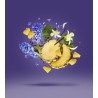 Accento EDP 100ml