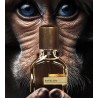 Risvelium Parfum 50ml