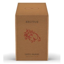 Brutus Parfum 50 ml