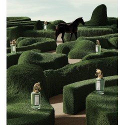 Fortuitous Finley EdP 75ml
