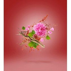Wardasina EDP 100ml
