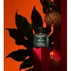 SUEÑO LATINO Eau de Parfum 100ml