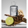 Castley EDP 125 ml