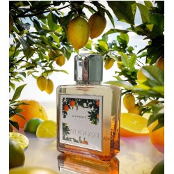 Whoosh Extrait de Parfum 50ml