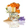 Papilefiko Extrait 50 e 100ml • Nishane