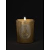 Candela Sapin Christmas 2025 70g