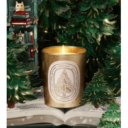 Candela Sapin Christmas 2025 Diptyque •  70gr e 190gr