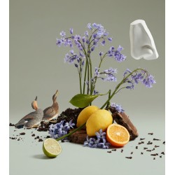 Bluebell EDT 100ml