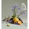 Bluebell EDT 100ml