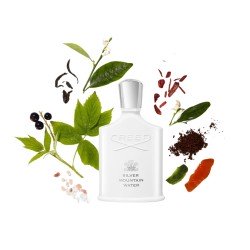 Silver Mountain Water Edp 100ml