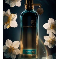 Cedrat Lova Edp 100ml
