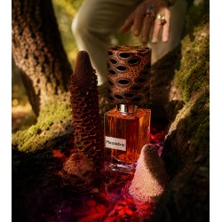 Micodelirio Nasomatto (extrait 30ml)