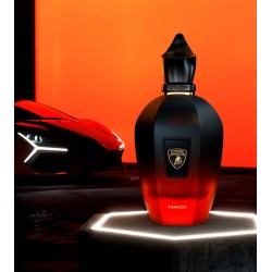 Fierezza eau de parfum 100ml