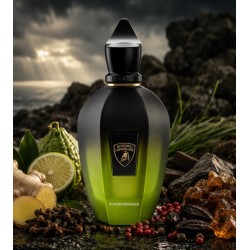 Perseveranza eau de parfum 100ml