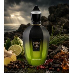 Perseveranza eau de parfum 100ml