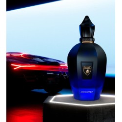 Avanguardia eau de parfum 100ml