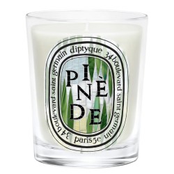 Candela Pinede 190 gr Limited Edition Summer 2026
