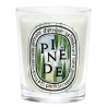 Candela Pinede 190 gr Limited Edition Summer 2026