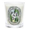 Candela Pinede 190 gr Limited Edition Summer 2026