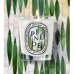 Candela Pinede 190 gr Limited Edition Summer 2026