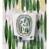 Candela Pinede 190 gr Limited Edition Summer 2026
