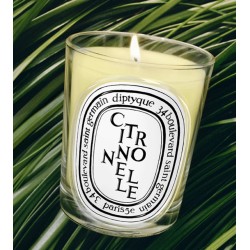 Candela Citronelle 190 gr