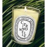 Candela Citronelle 190 gr