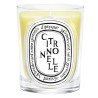 Candela Citronelle 190 gr