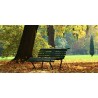Essence of the Park EDP 100 ml
