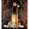Leather Patchouli Edp 100 ml