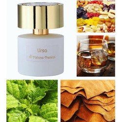 Ursa Extrait de Parfum 100 ml