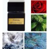 Ecstasy Extrait de Parfum 100 ml