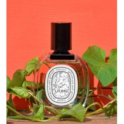 Eau Lierre Edt 100 ml